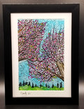 Spring Tree Blooms