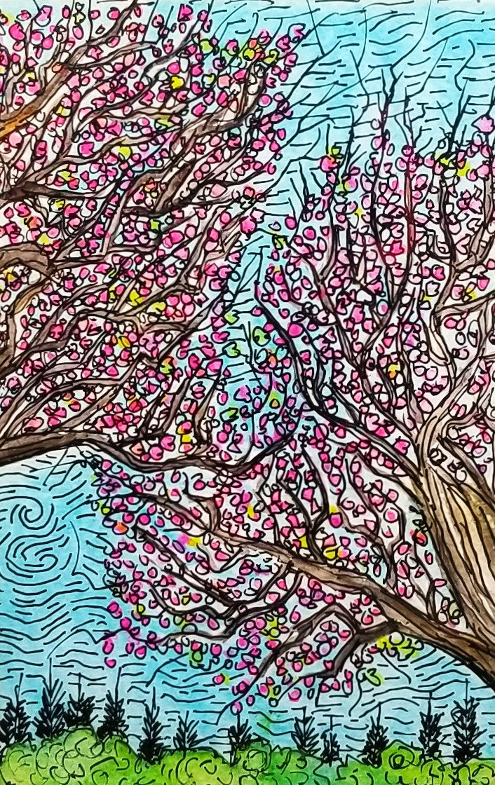 Spring Tree Blooms