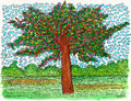 Spring Tree
