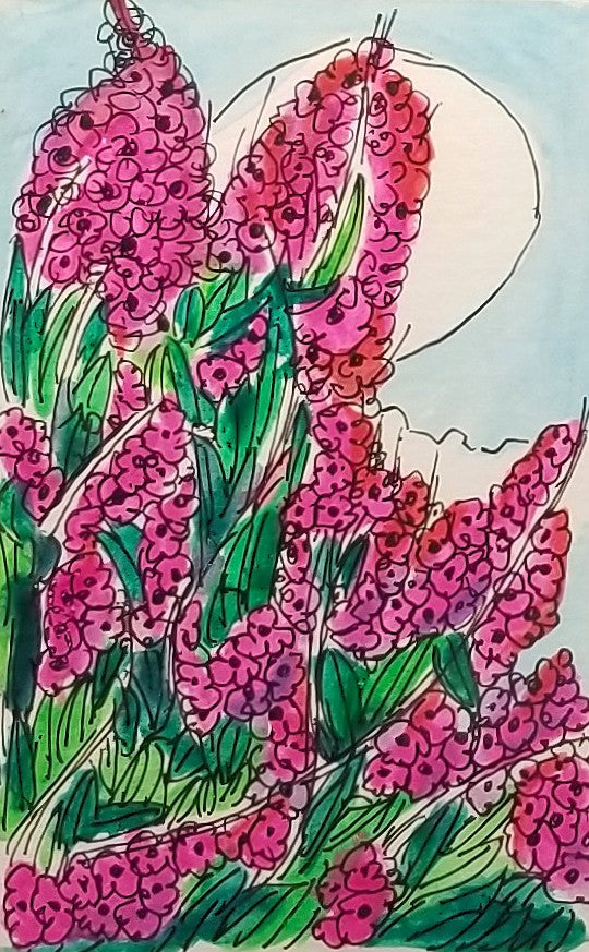Spring Flowers
