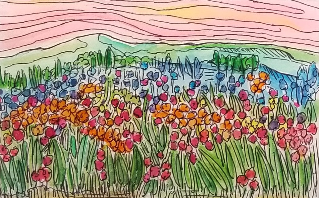 Spring Begins