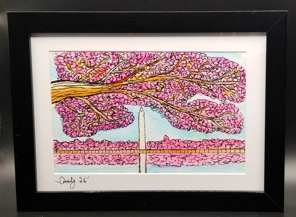 Washington Cherry Blossoms 1