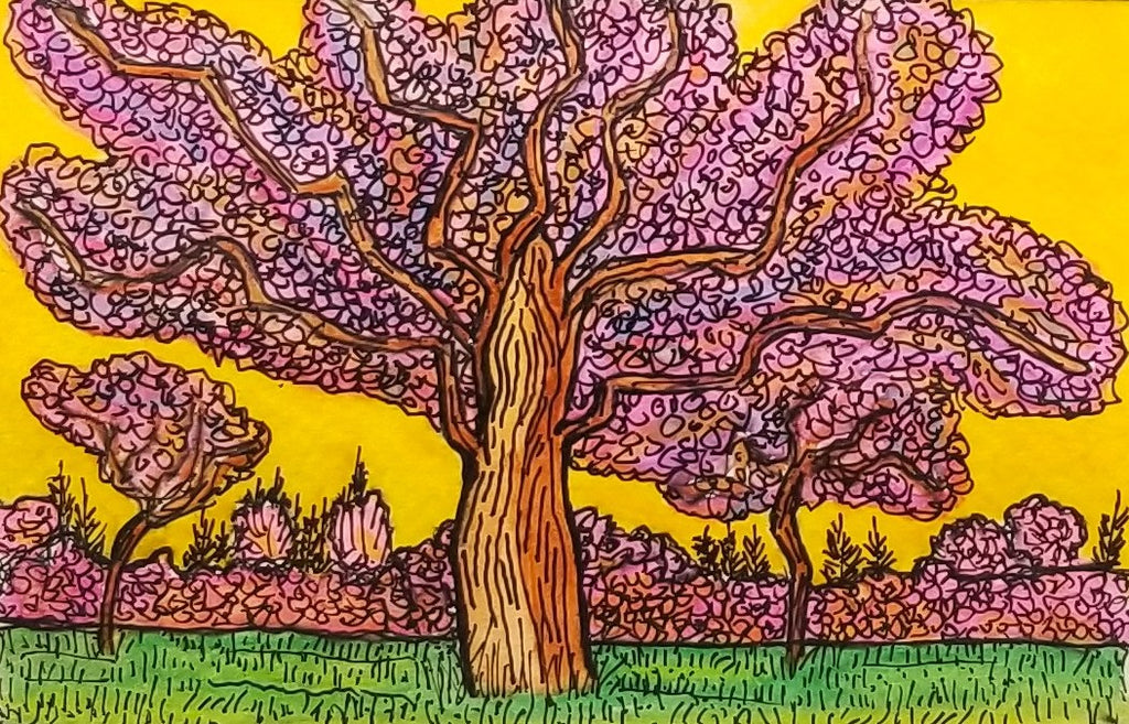 Trees at Sunrise Early Spring